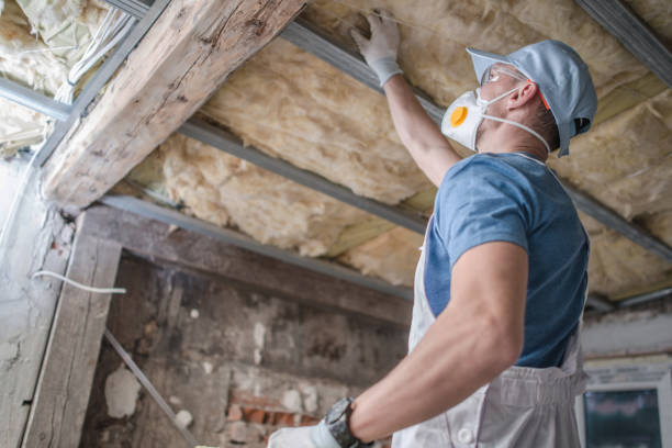 Best Commercial Insulation in Templeton, CA