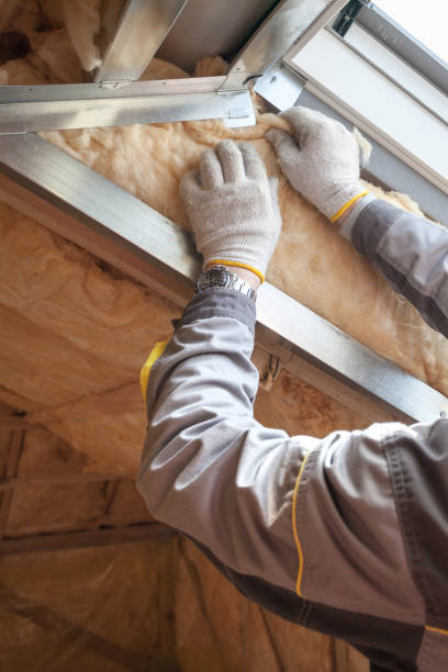 Types of Insulation We Offer in Templeton, CA