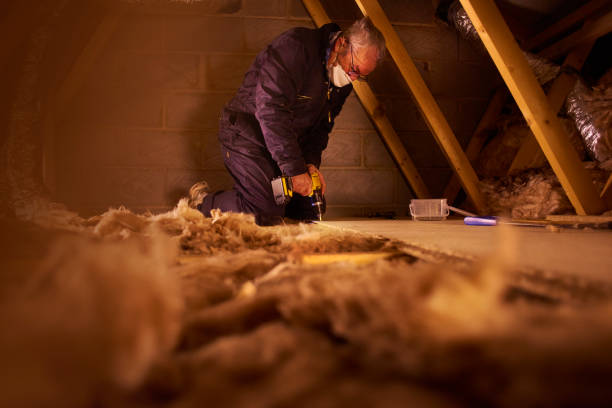 Best Eco-Friendly Insulation in Templeton, CA